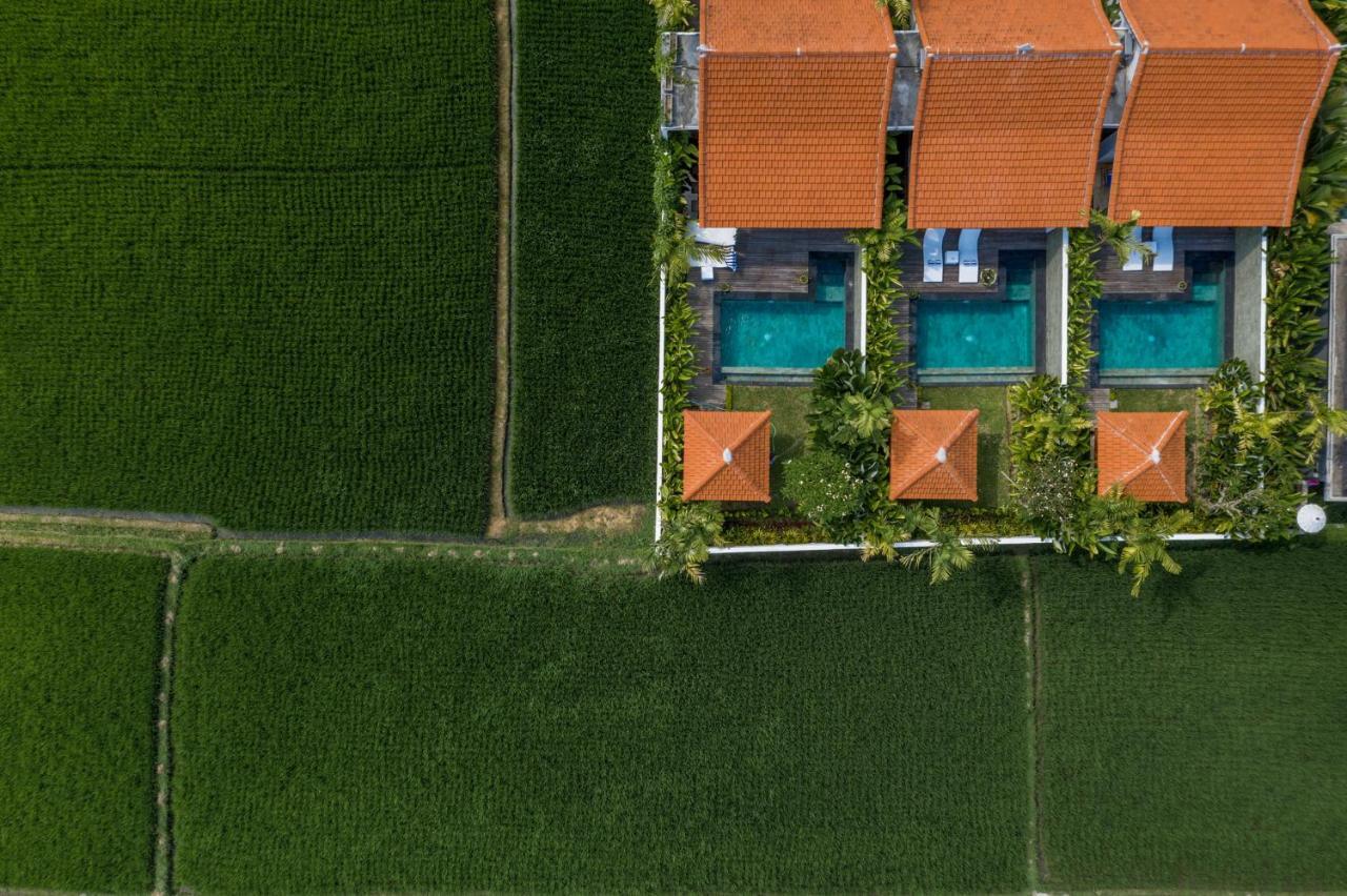 Sawah Villas Убуд Екстер'єр фото