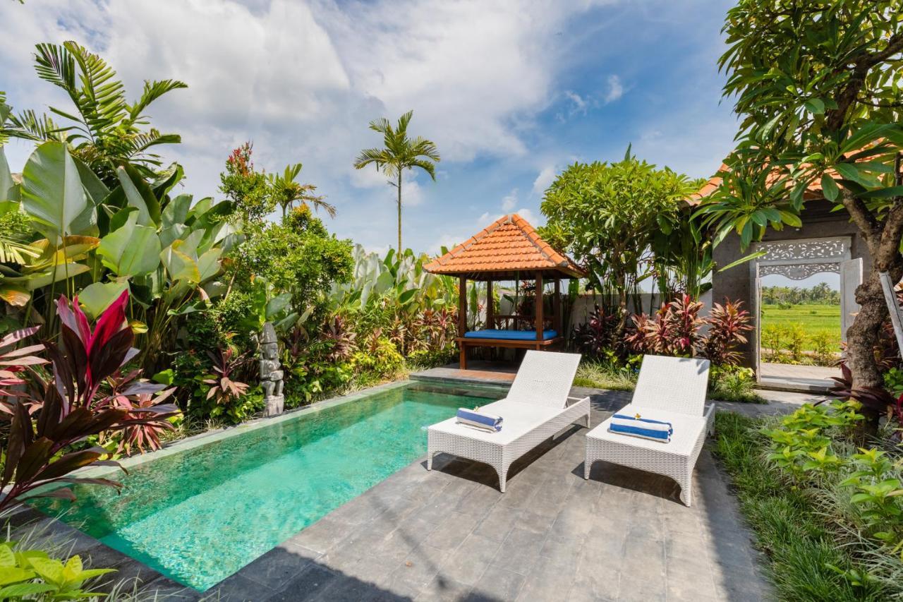 Sawah Villas Убуд Екстер'єр фото